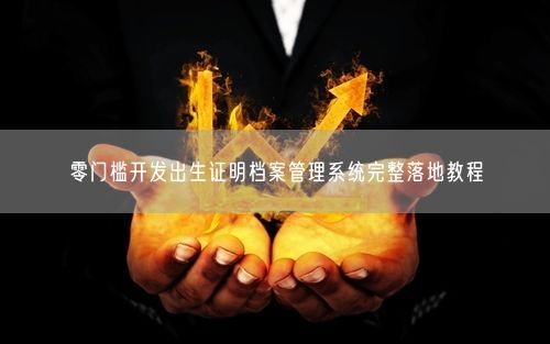 零门槛开发出生证明档案管理系统完整落地教程