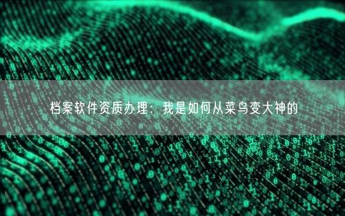 档案软件资质办理：我是如何从菜鸟变大神的
