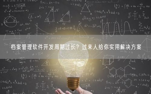 档案管理软件开发周期过长？过来人给你实用解决方案