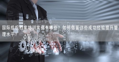 国际组织档案培训案例有哪些？如何借鉴这些成功经验提升管理水平？
