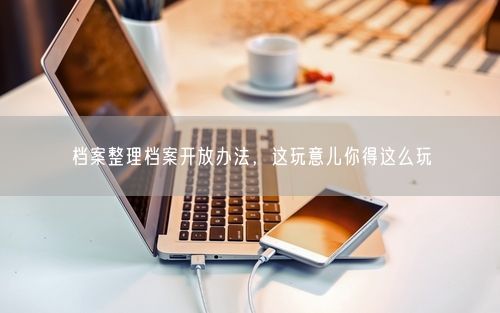 档案整理档案开放办法，这玩意儿你得这么玩
