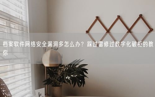档案软件网络安全漏洞多怎么办？踩过雷修过数字化破柜的教你