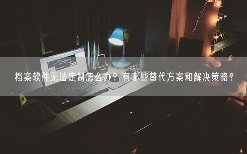 档案软件无法定制怎么办？有哪些替代方案和解决策略？