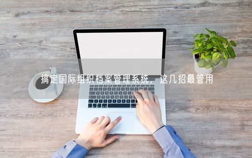搞定国际组织档案管理系统，这几招最管用