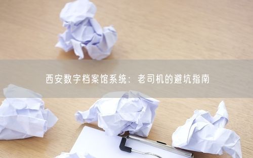 西安数字档案馆系统：老司机的避坑指南