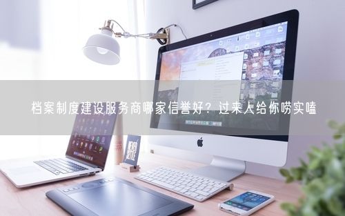 档案制度建设服务商哪家信誉好？过来人给你唠实嗑