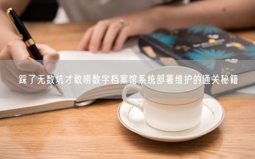 踩了无数坑才敢唠数字档案馆系统部署维护的通关秘籍