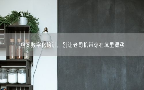 档案数字化培训，别让老司机带你在坑里漂移