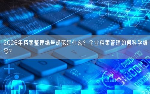 2026年档案整理编号规范是什么？企业档案管理如何科学编号？