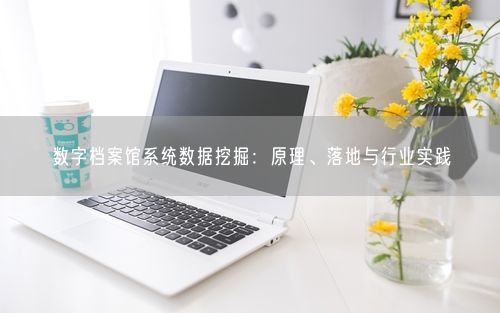 数字档案馆系统数据挖掘：原理、落地与行业实践