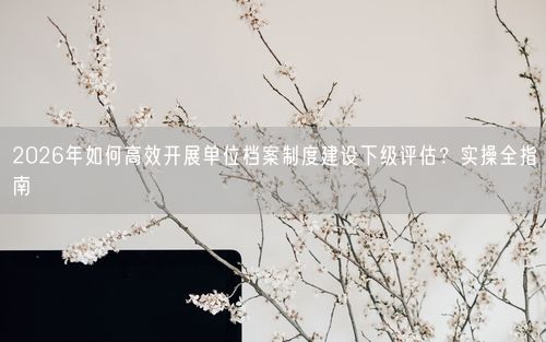 2026年如何高效开展单位档案制度建设下级评估？实操全指南
