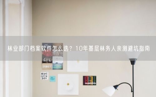 林业部门档案软件怎么选？10年基层林务人亲测避坑指南