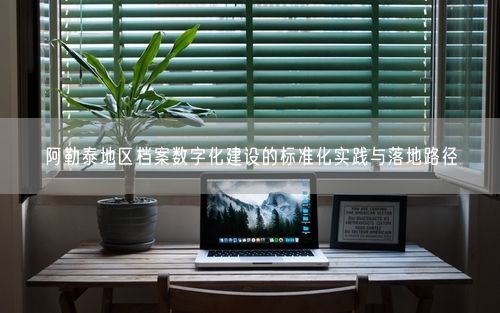 阿勒泰地区档案数字化建设的标准化实践与落地路径