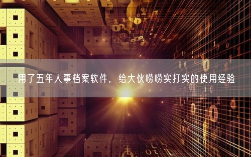 用了五年人事档案软件，给大伙唠唠实打实的使用经验