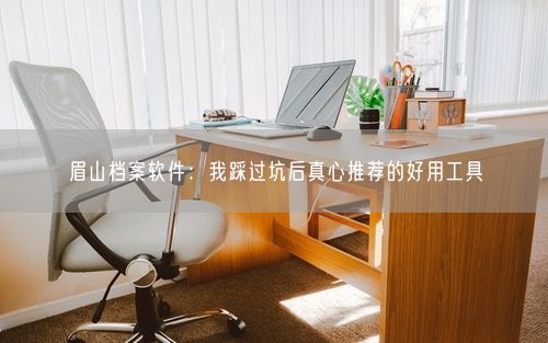 眉山档案软件：我踩过坑后真心推荐的好用工具