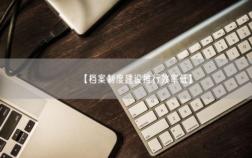 【档案制度建设推行效率低】