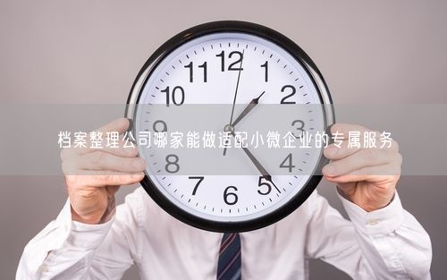 档案整理公司哪家能做适配小微企业的专属服务