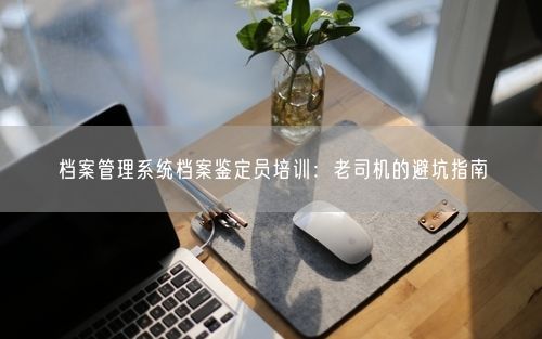 档案管理系统档案鉴定员培训：老司机的避坑指南