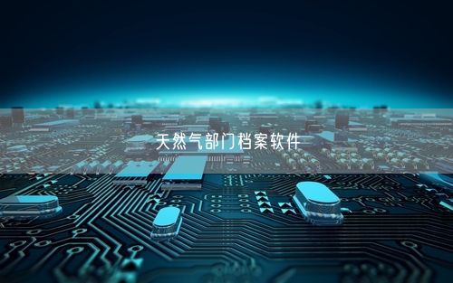 天然气部门档案软件