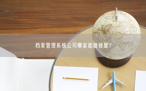 档案管理系统公司哪家能做修复？