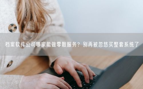 档案软件公司哪家能做零散服务？别再被忽悠买整套系统了