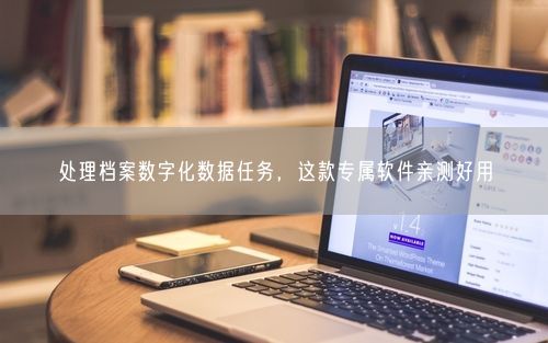 处理档案数字化数据任务，这款专属软件亲测好用