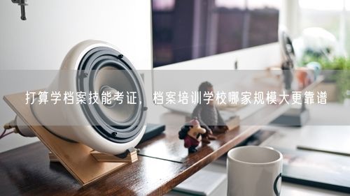 打算学档案技能考证，档案培训学校哪家规模大更靠谱