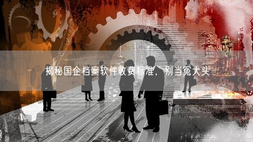 揭秘国企档案软件收费标准，别当冤大头