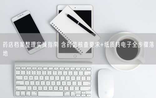 药店档案整理实操指南 含药监核查要求+纸质转电子全步骤落地