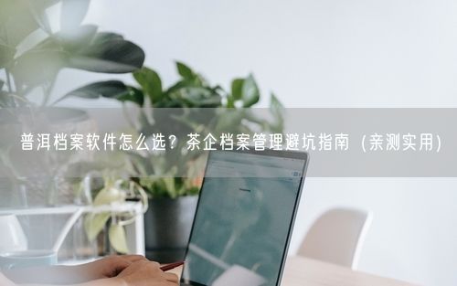 普洱档案软件怎么选？茶企档案管理避坑指南（亲测实用）