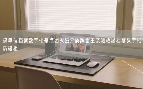 搞单位档案数字化差点团灭磁介质踩雷王亲测救星档案数字化防磁柜