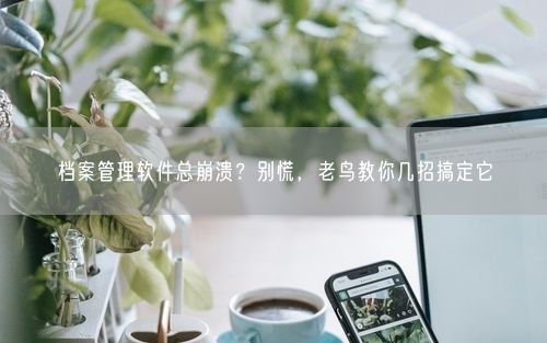 档案管理软件总崩溃？别慌，老鸟教你几招搞定它