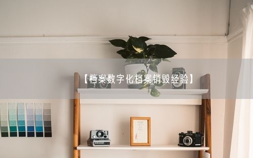 【档案数字化档案销毁经验】