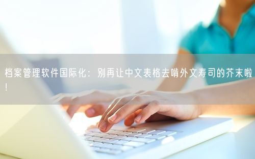 档案管理软件国际化：别再让中文表格去啃外文寿司的芥末啦！