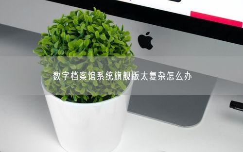 数字档案馆系统旗舰版太复杂怎么办