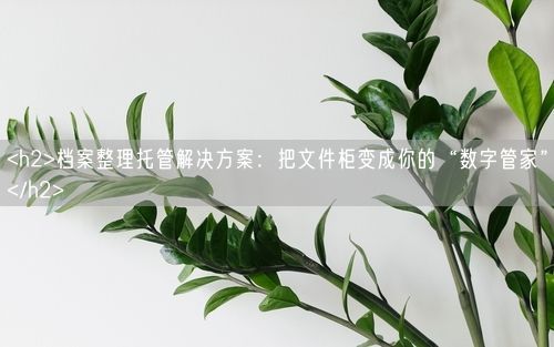 <h2>档案整理托管解决方案：把文件柜变成你的“数字管家”</h2>
