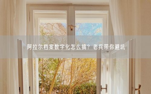 阿拉尔档案数字化怎么搞？老兵带你避坑