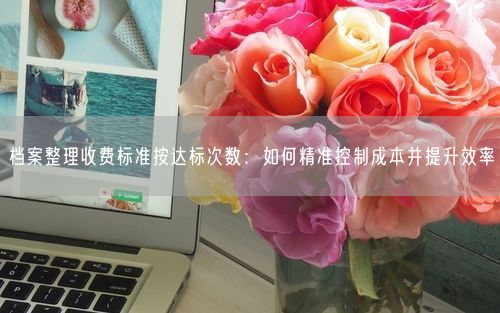 档案整理收费标准按达标次数：如何精准控制成本并提升效率