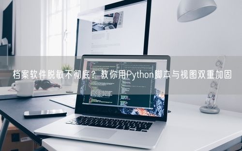 档案软件脱敏不彻底？教你用Python脚本与视图双重加固