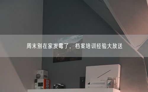 周末别在家发霉了，档案培训经验大放送