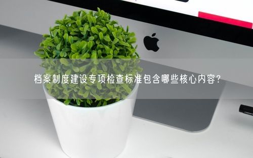 档案制度建设专项检查标准包含哪些核心内容？