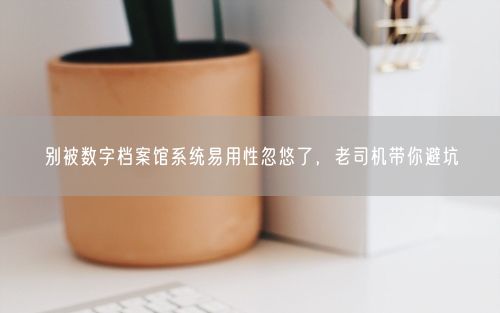 别被数字档案馆系统易用性忽悠了，老司机带你避坑