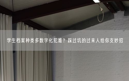 学生档案种类多数字化犯难？踩过坑的过来人给你支妙招