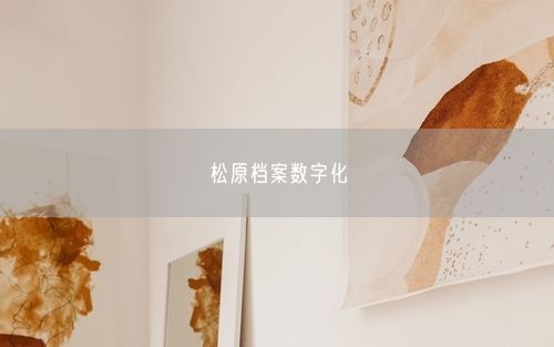 松原档案数字化