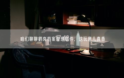 咱们聊聊鹤岗档案管理软件，这玩意儿真香