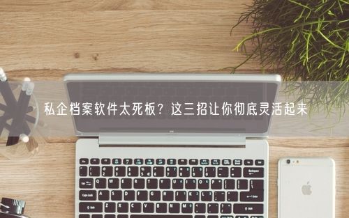 私企档案软件太死板？这三招让你彻底灵活起来