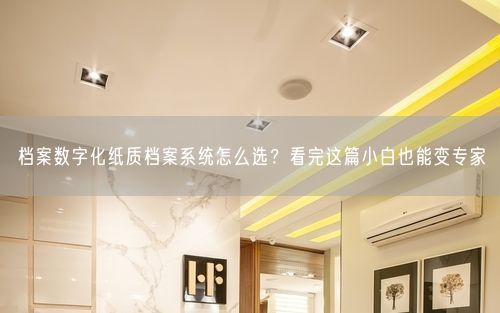 档案数字化纸质档案系统怎么选？看完这篇小白也能变专家
