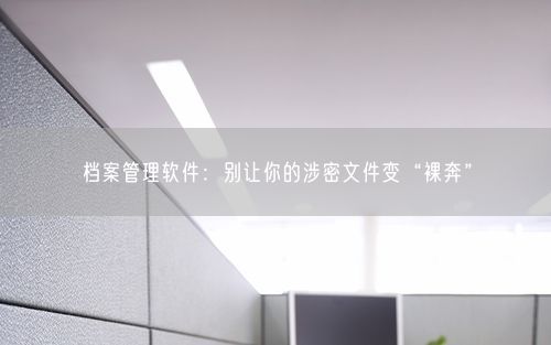 档案管理软件：别让你的涉密文件变“裸奔”