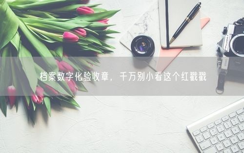 档案数字化验收章，千万别小看这个红戳戳