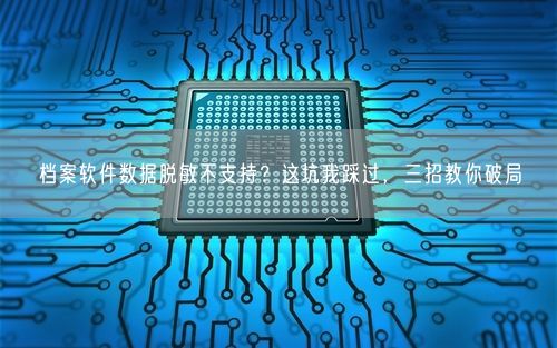 档案软件数据脱敏不支持？这坑我踩过，三招教你破局